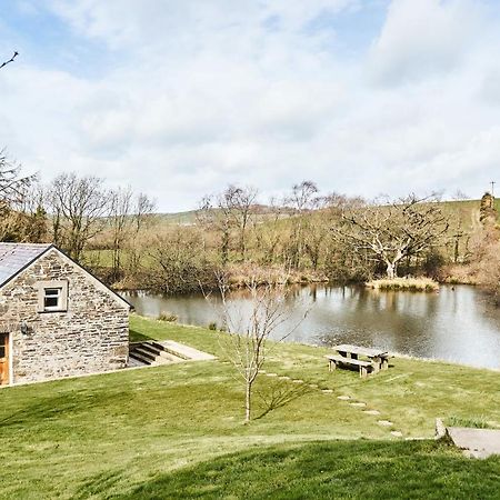 Penuwch Boathouse- Lakeside Rural Cottage Ideal For Families With Indoor Heated Pool Carmarthen Extérieur photo